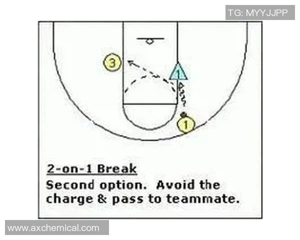 体育实时数据西安乒乓球队快攻战术解析与发展趋势探讨