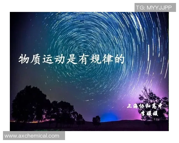 运动最新数据上海篮球队奋斗历程的真实记录与辉煌成就的见证